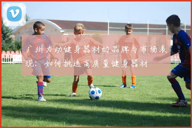 广州力动健身器材的品牌与市场表现：如何挑选高质量健身器材
