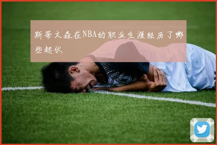 斯蒂文森在NBA的职业生涯经历了哪些起伏
